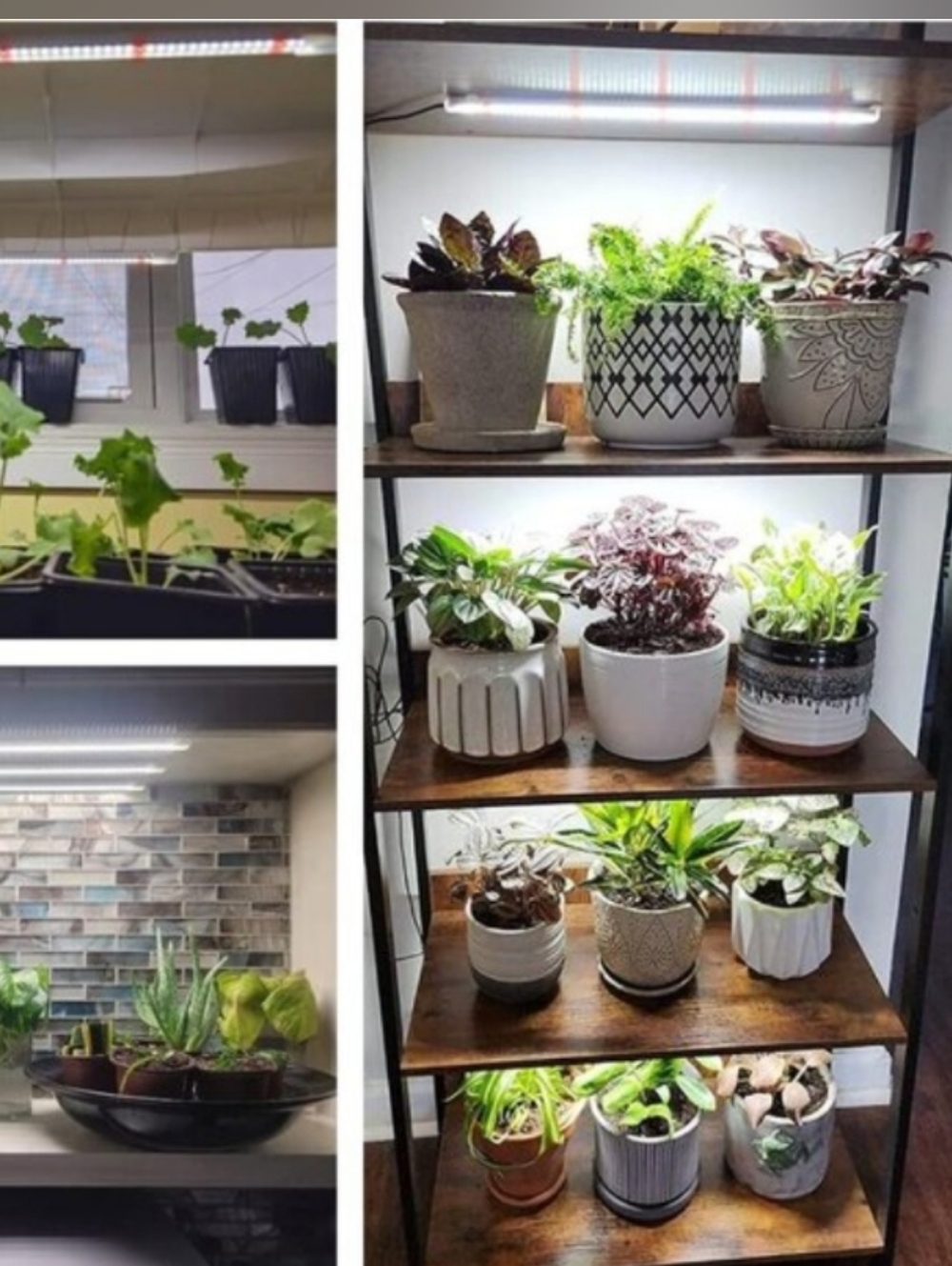 LED Grow Light Strips, Full Spectrum Sunlike Growing Lamp with 6 Strips/Lights